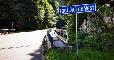 Șoseaua uitată din inima munților: ce se întâmplă cu DN 66A, drumul prin codrii seculari ai Văii Cernei