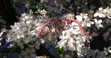 Mărțișorul modern – idei accesibile și de suflet pentru 1 Martie