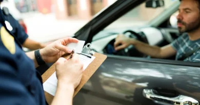 Permisul auto și punctele de penalizare vor putea fi consultate online