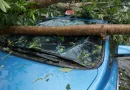 Cum obții despăgubiri după o furtună: sfaturi esențiale pentru șoferi